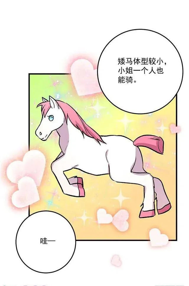精灵石 第20页