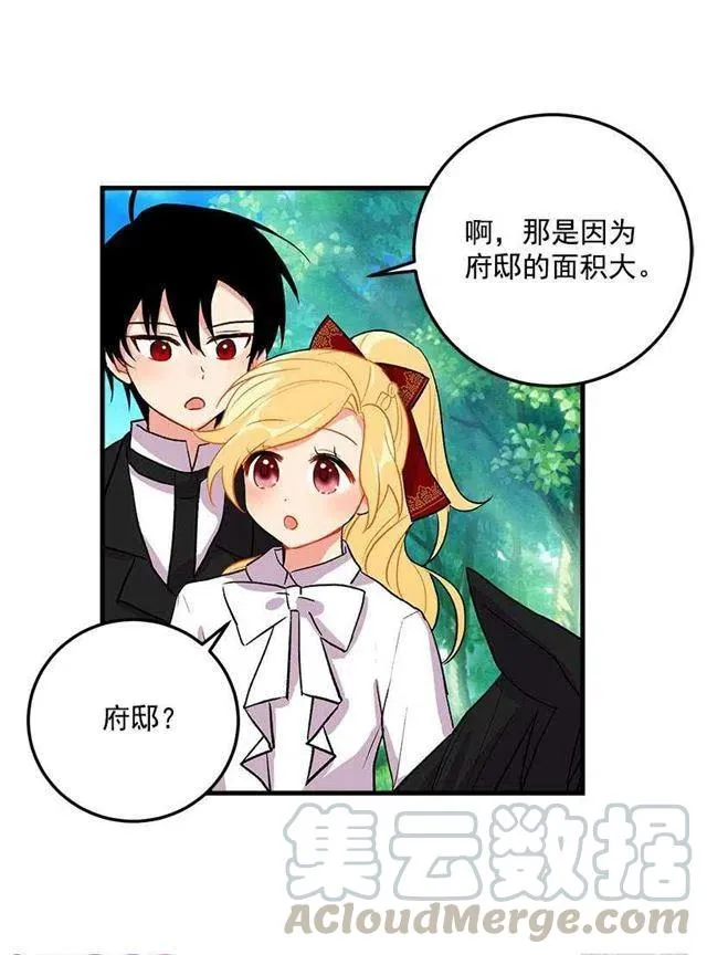 精灵石 第25页