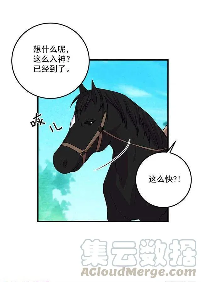 精灵石 第31页