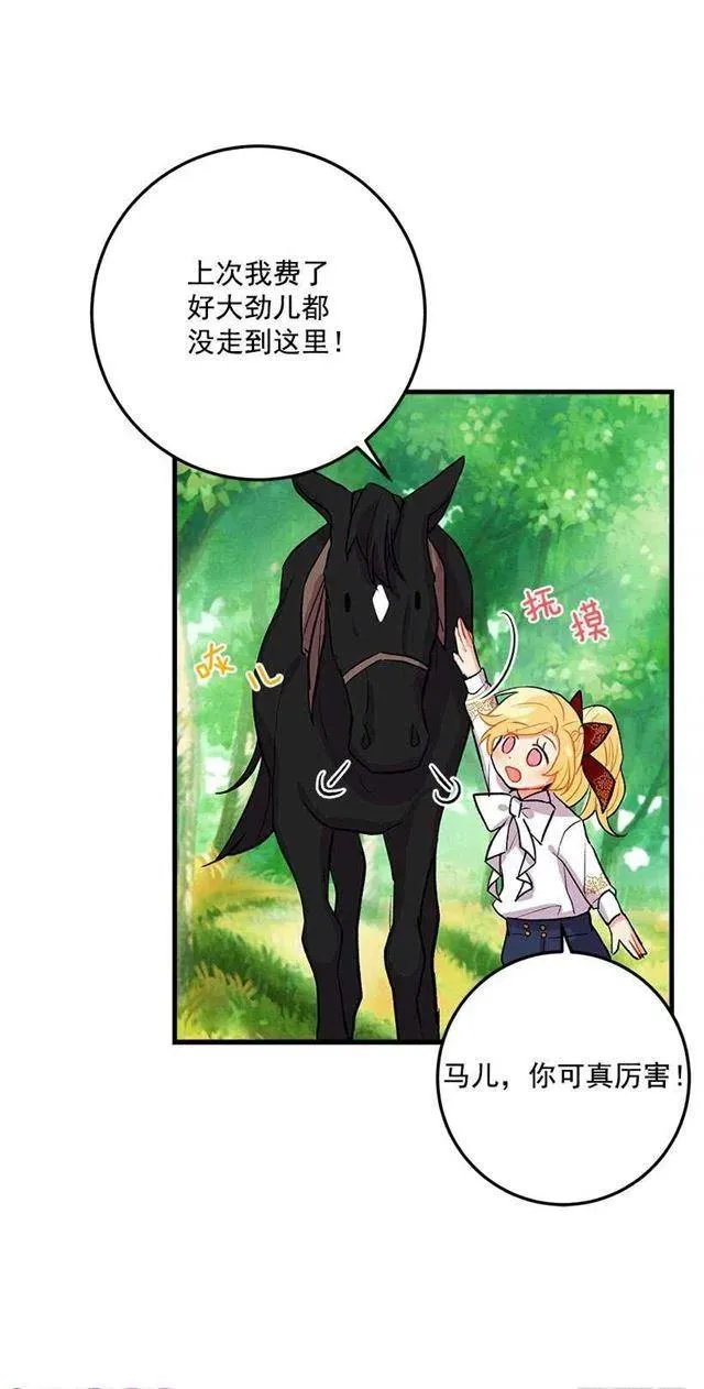 精灵石 第33页