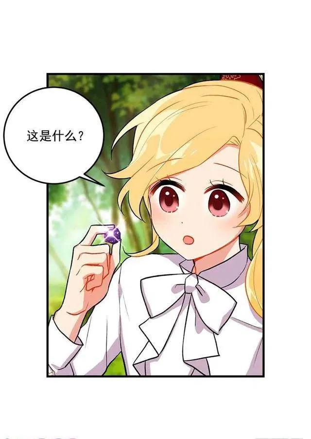 精灵石 第36页