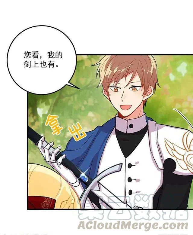 精灵石 第40页