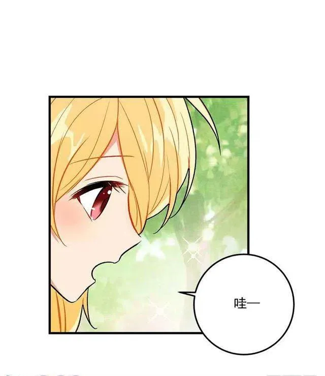 精灵石 第41页