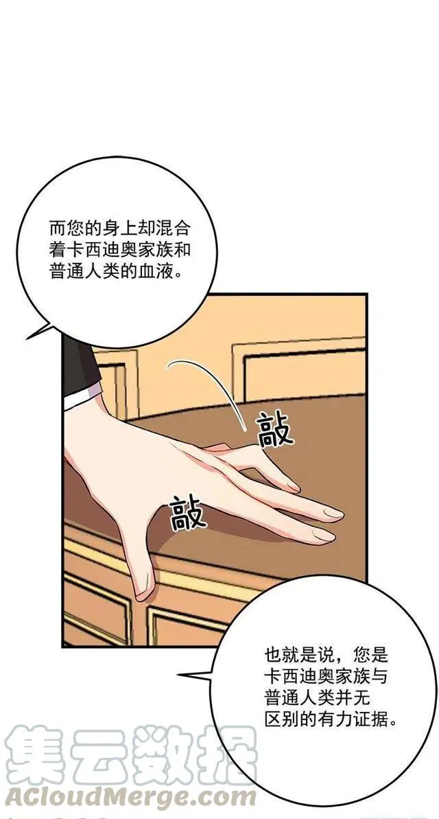 成为国王的人 第29页