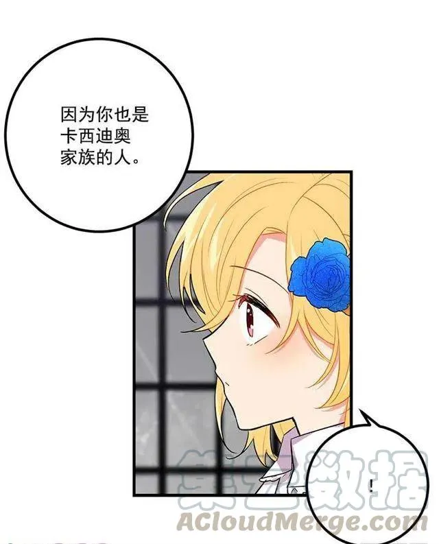 喜欢的感觉 第13页