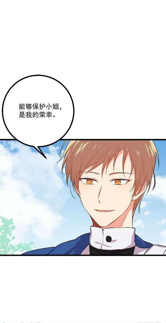 新护卫 第8页