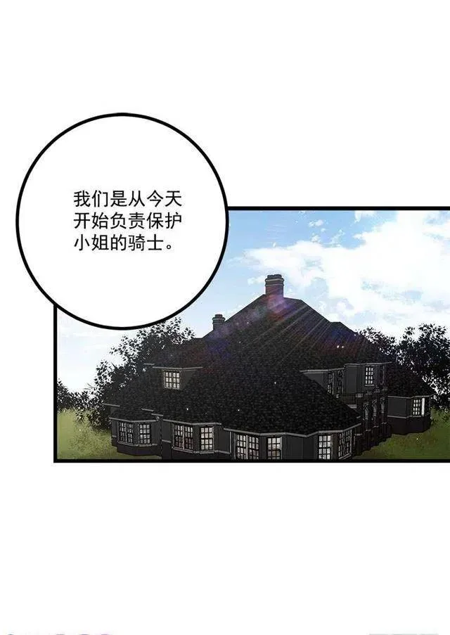 新护卫 第26页