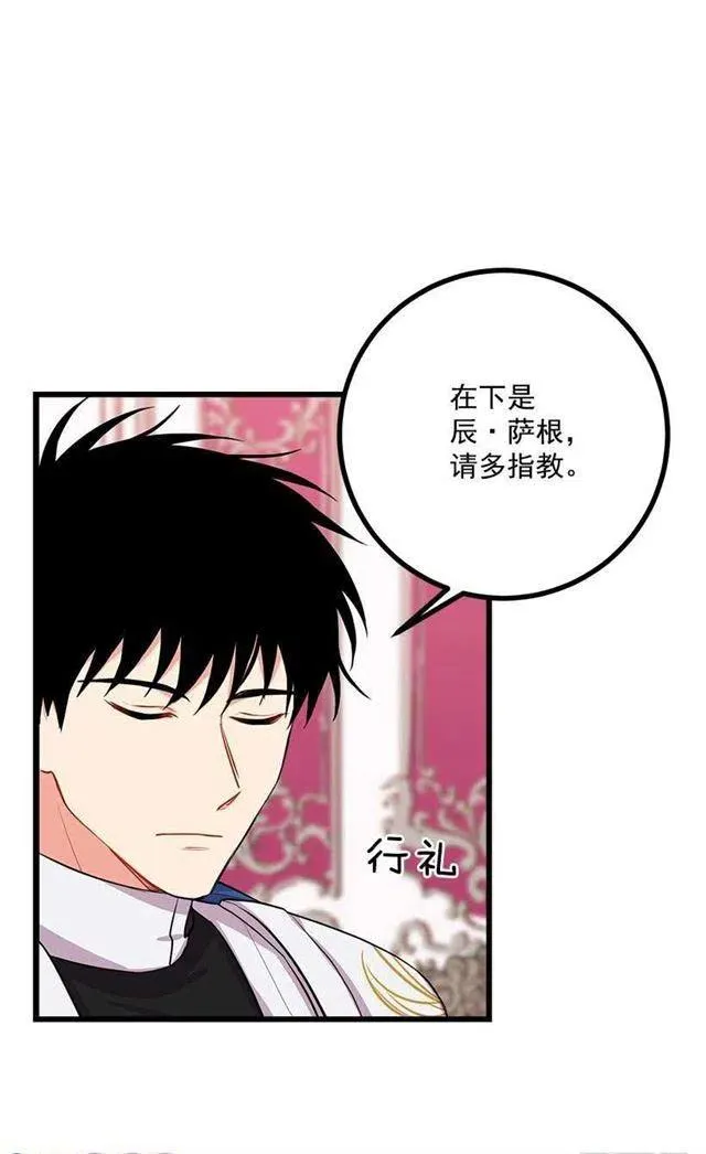 新护卫 第27页