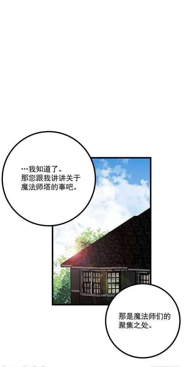 魔法师与魔法师塔 第3页