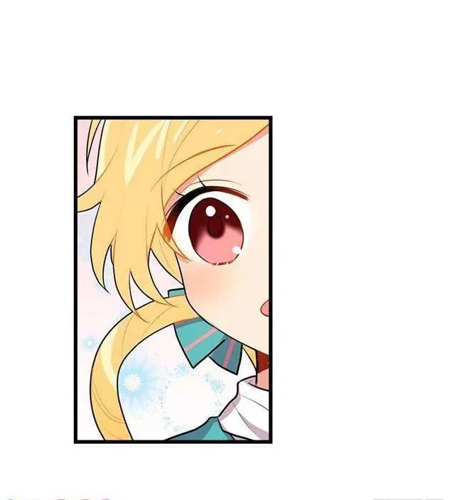 魔法师与魔法师塔 第20页