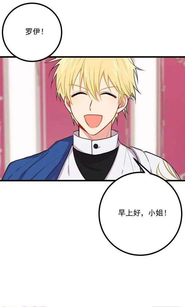 魔法师与魔法师塔 第27页