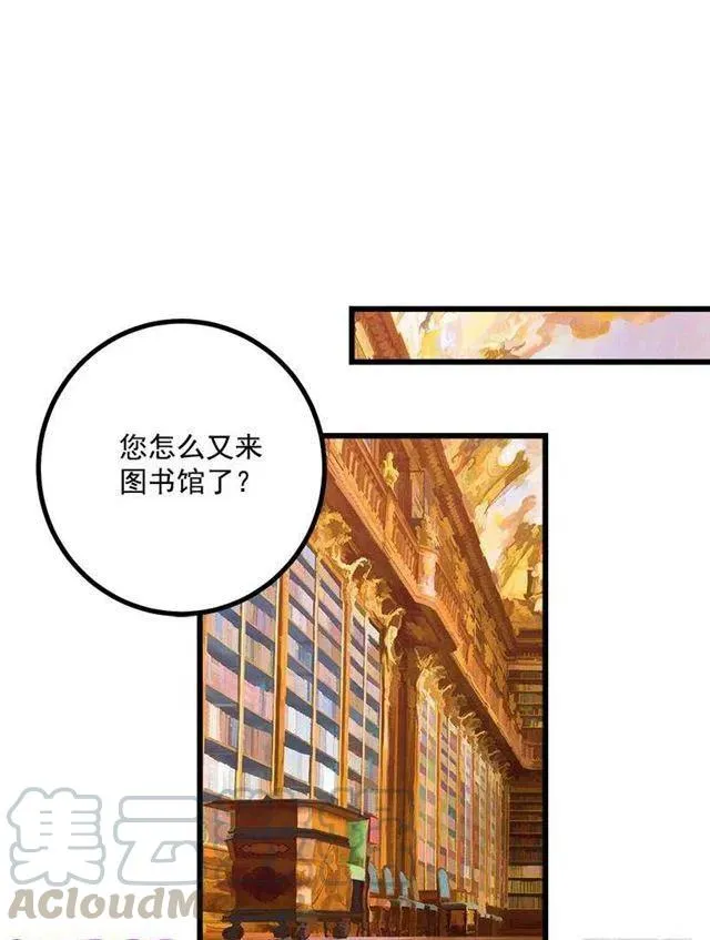 魔法师与魔法师塔 第28页