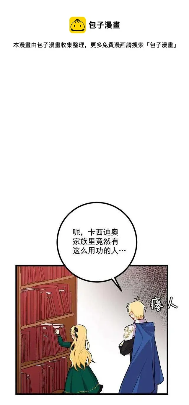 魔法师与魔法师塔 第29页
