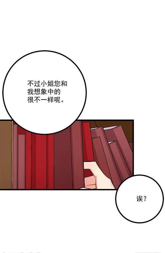 魔法师与魔法师塔 第32页