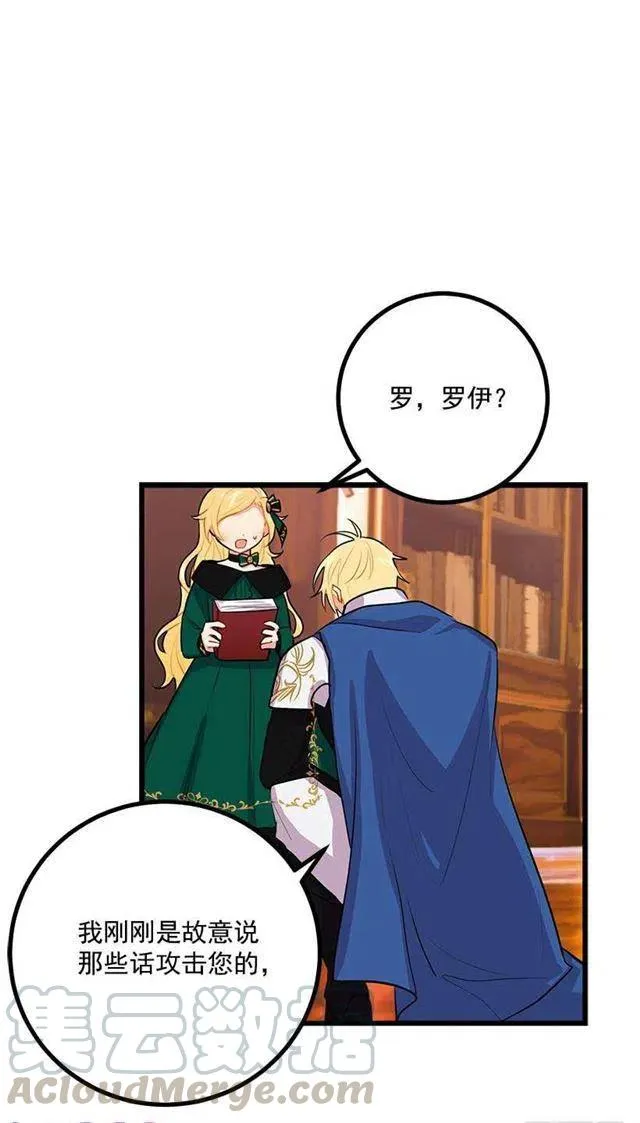 魔法师与魔法师塔 第40页
