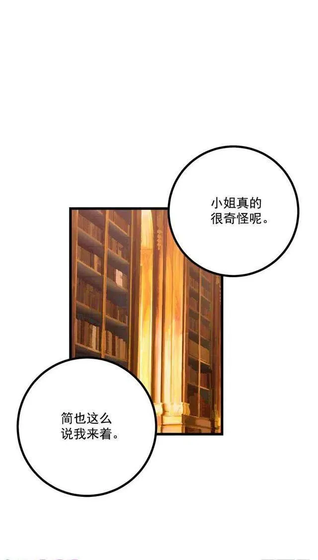 魔法师与魔法师塔 第44页