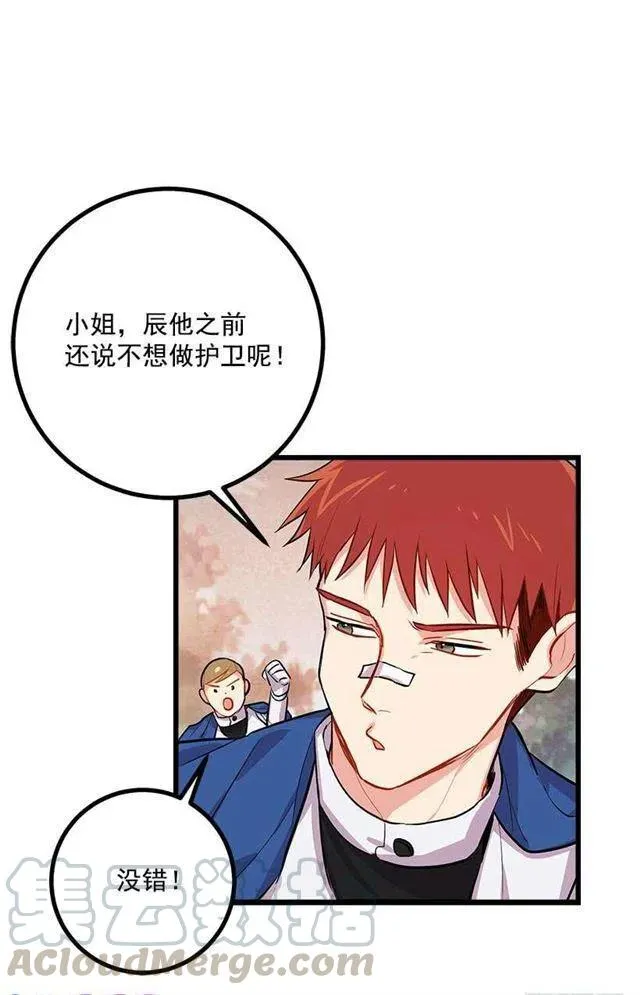 狩猎大会的标记带 第7页