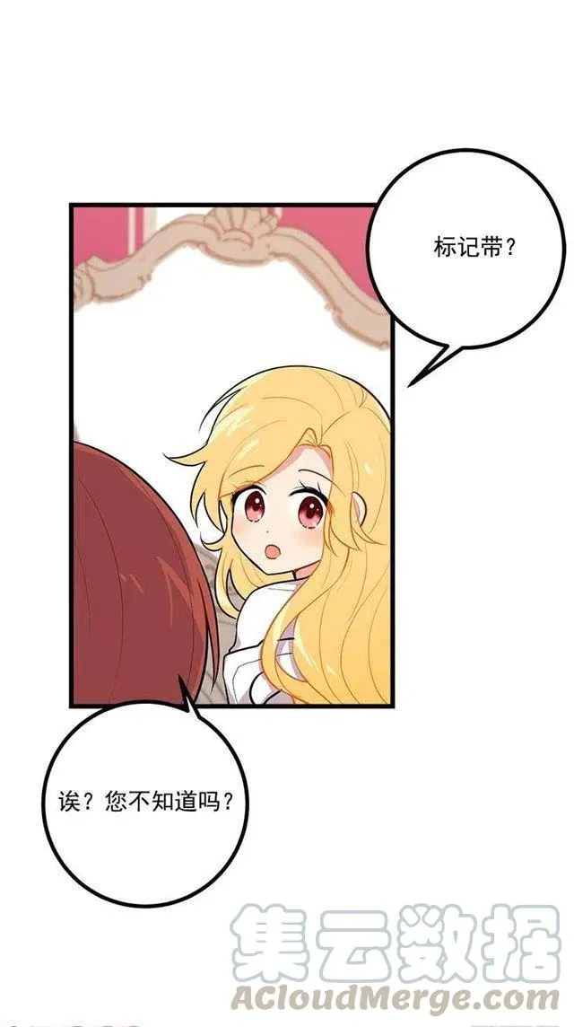 狩猎大会的标记带 第31页