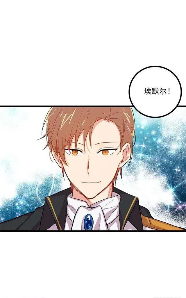 埃默尔的嘱托 第18页