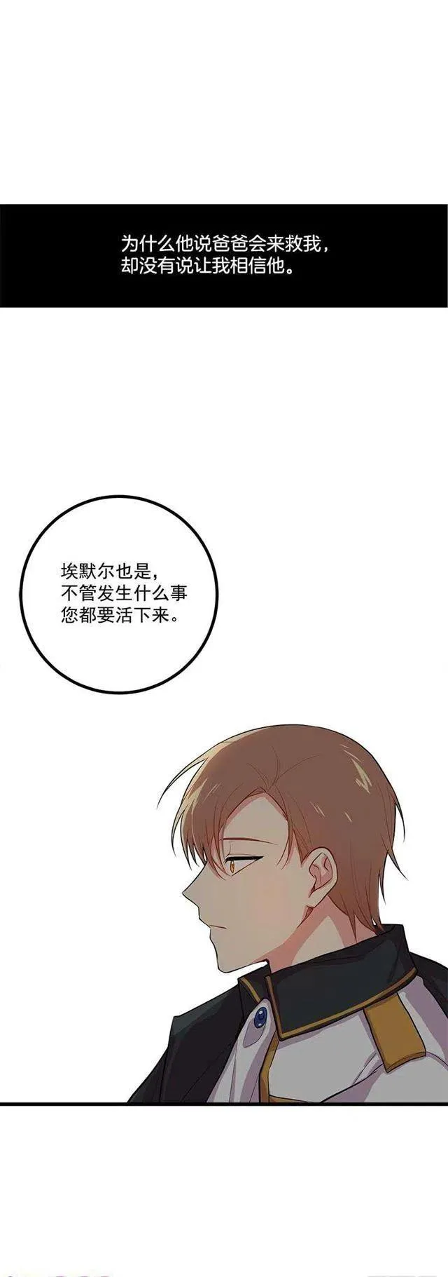 埃默尔的嘱托 第36页