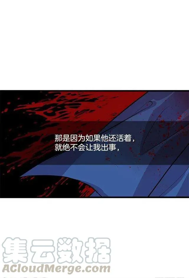 埃默尔的嘱托 第37页