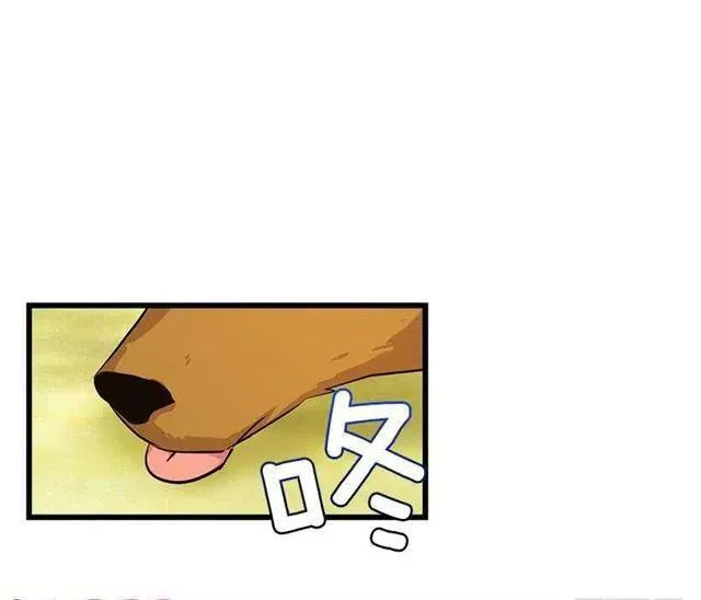 熊 第12页