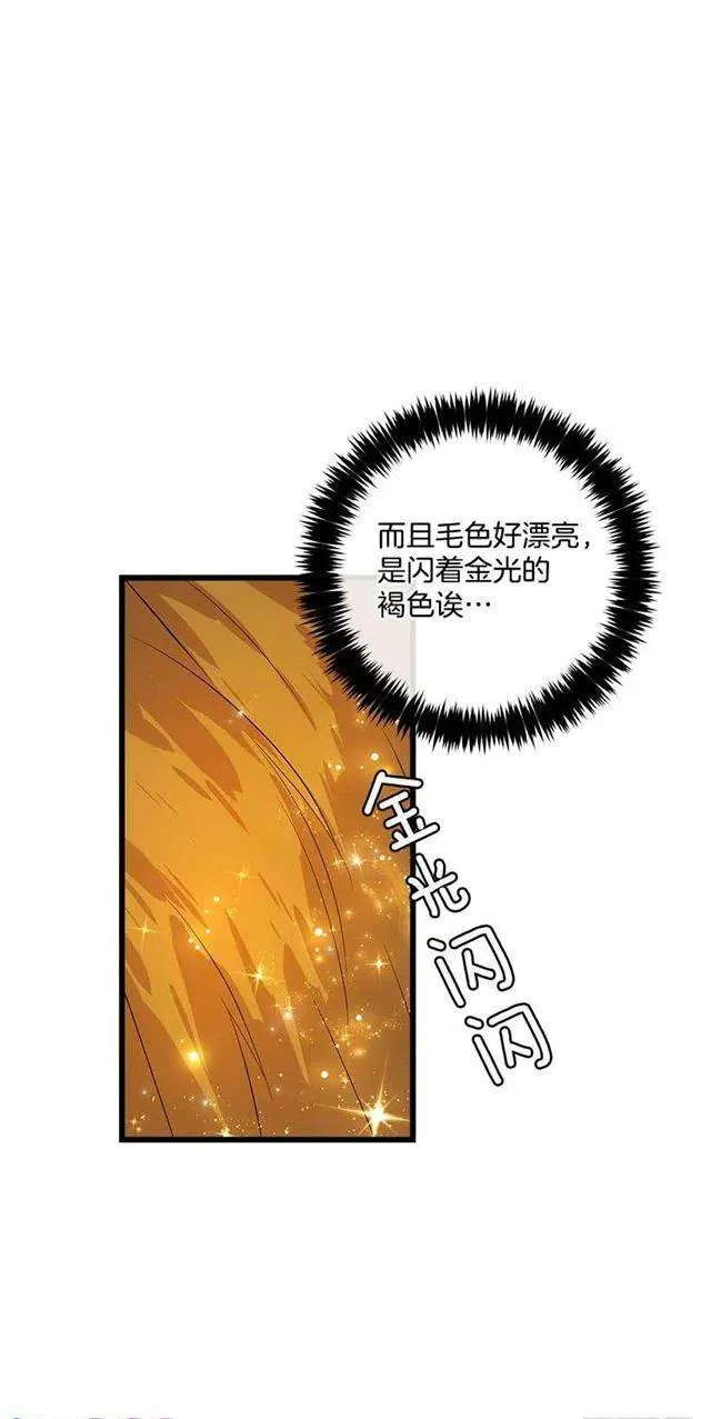 熊 第15页