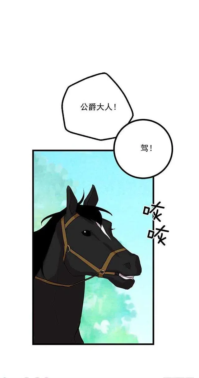 熊 第33页