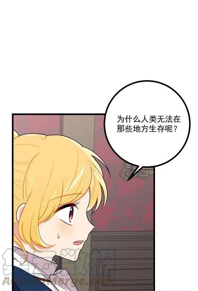47.精灵的护佑 第37页