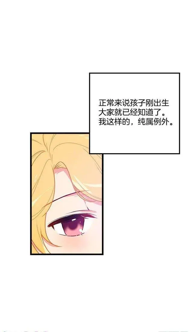 48.眼里只有小姐一人 第27页