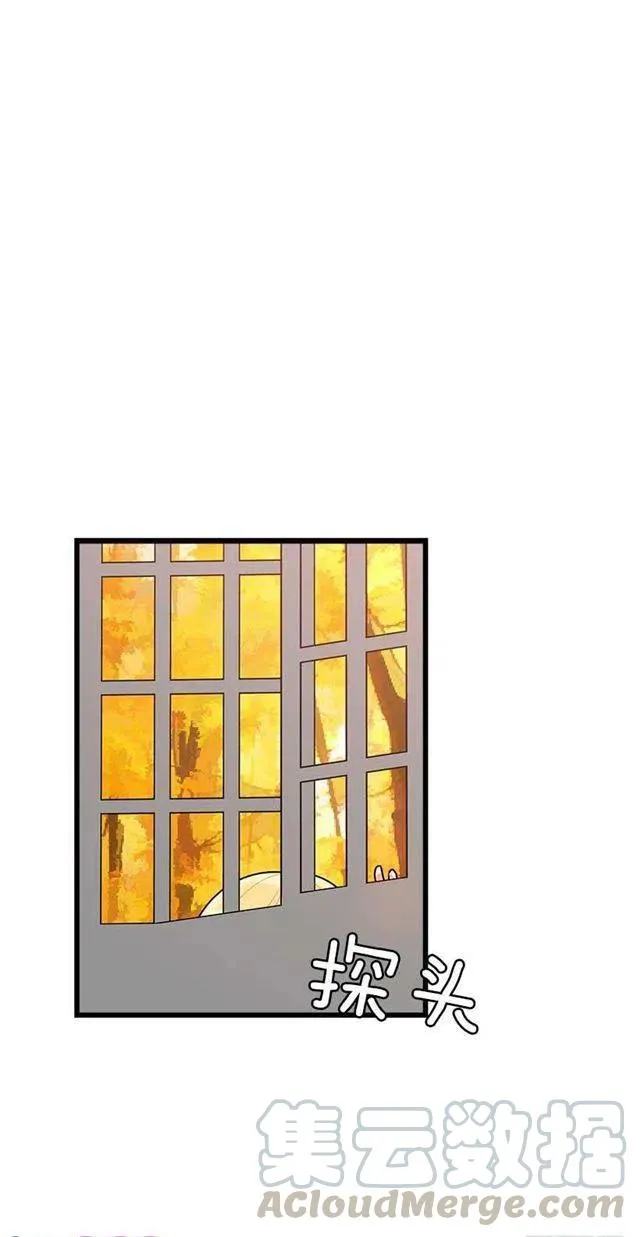 57.白城堡 第5页