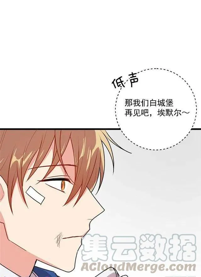 57.白城堡 第11页