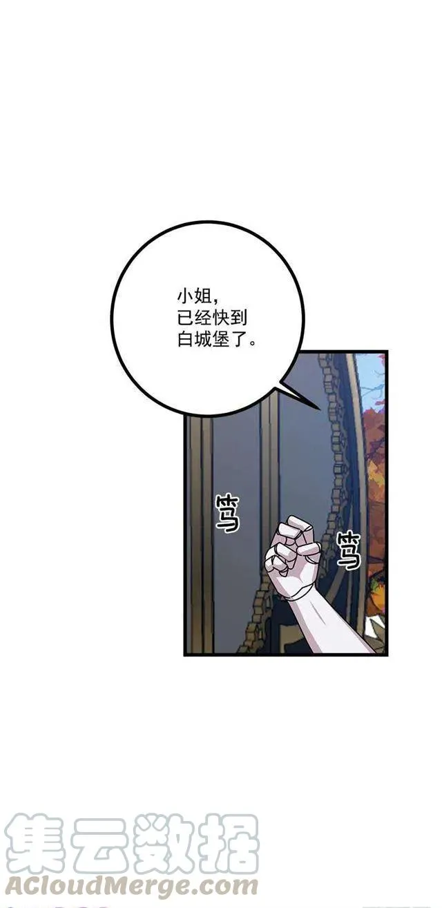 57.白城堡 第15页