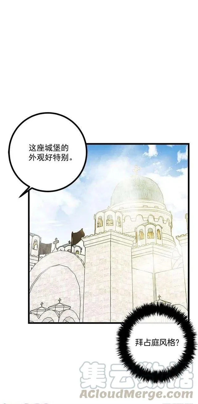 57.白城堡 第25页