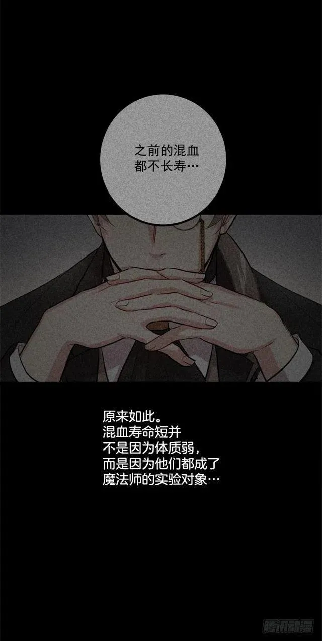 68.我不会杀了您 第30页