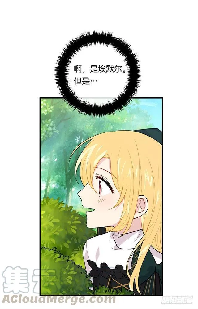 100.埃默尔的另一面 第37页