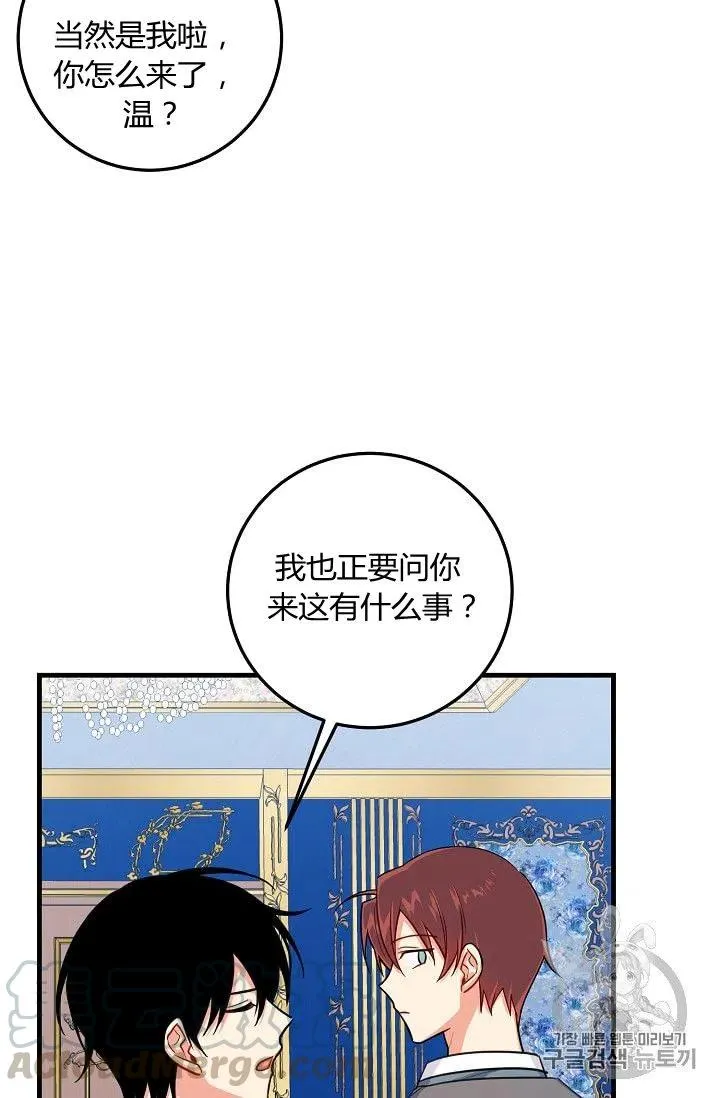135 第19页