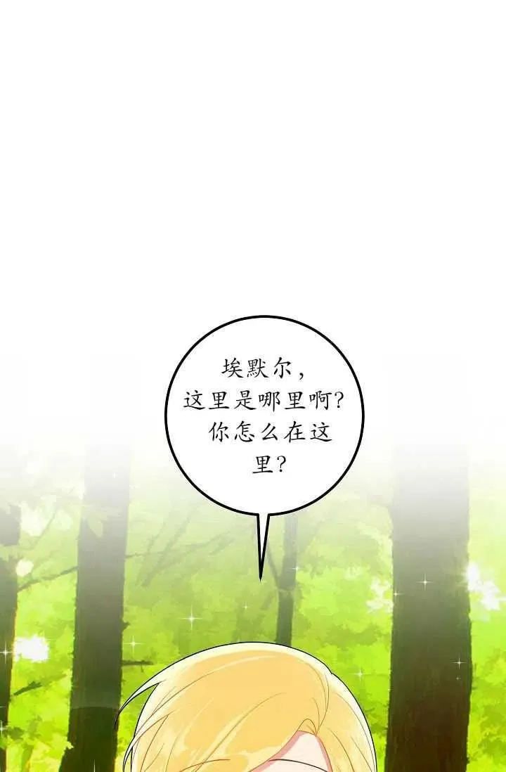 141 第28页