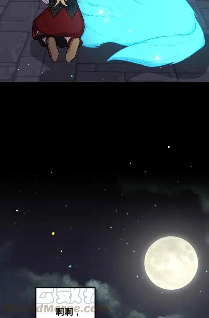 144 第31页