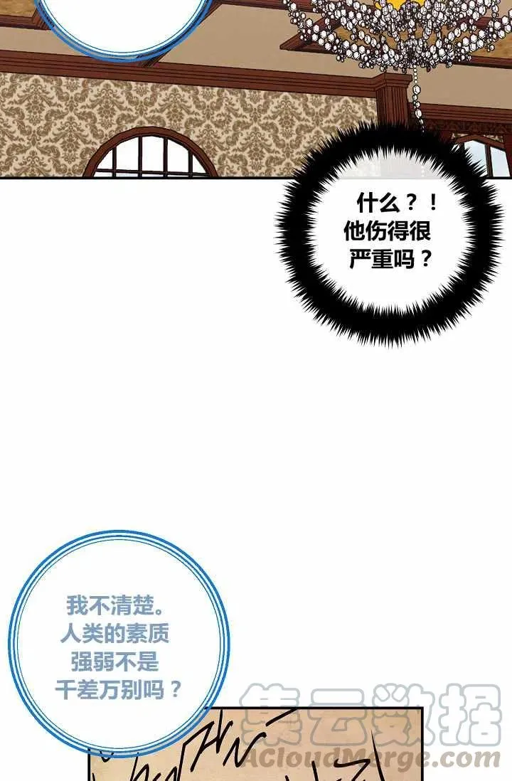 155 第31页