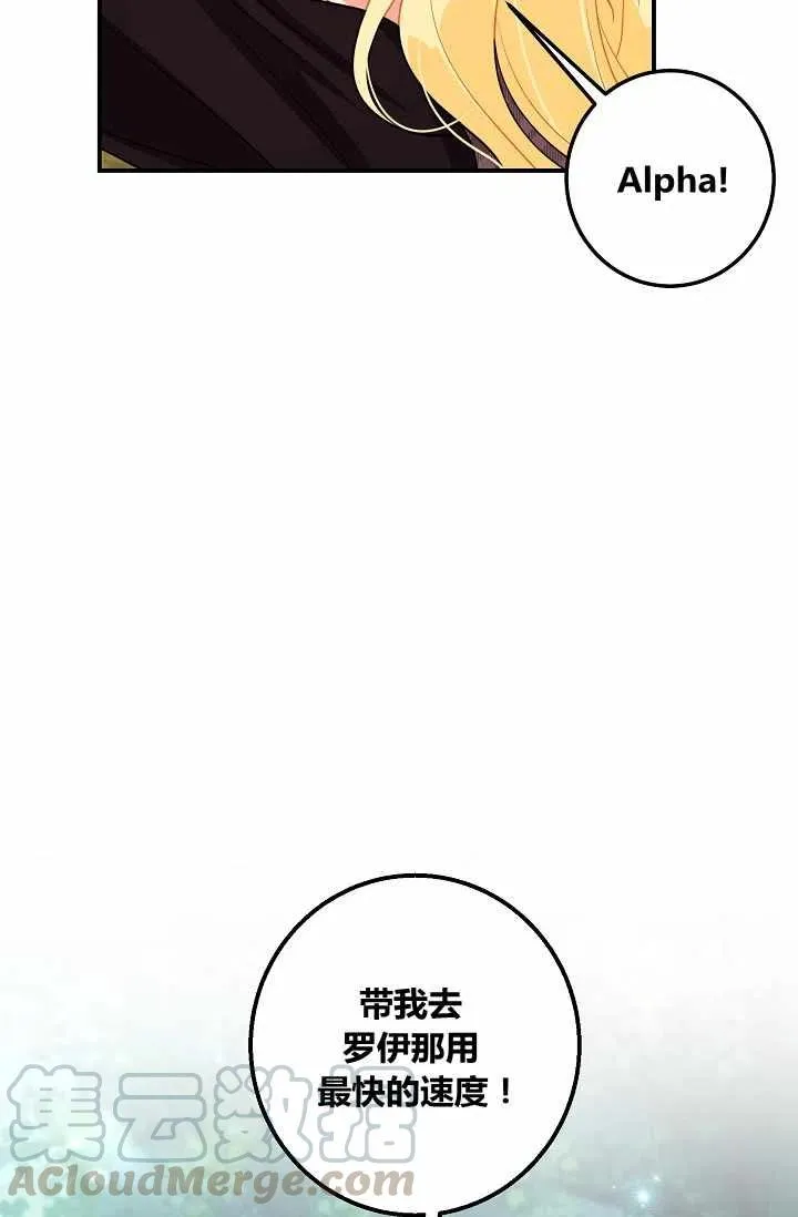 155 第39页
