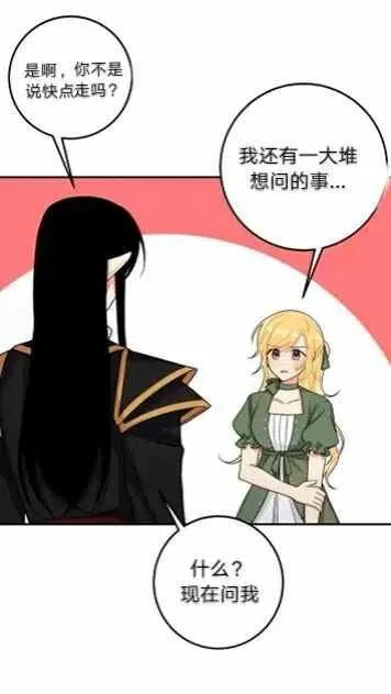 167 第36页