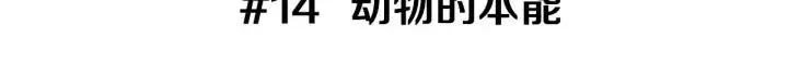 第14话 动物的本能 第3页