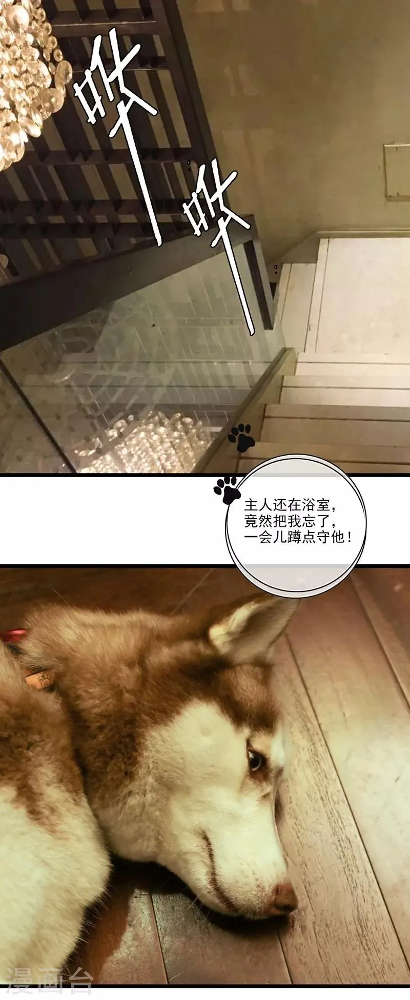 第38话 意外来客 第1页