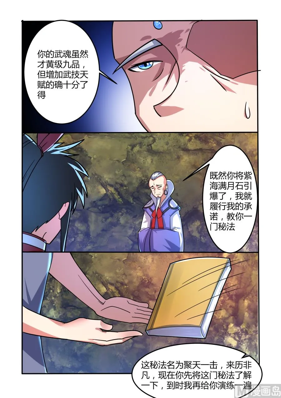 紫海满月石异像 第11页