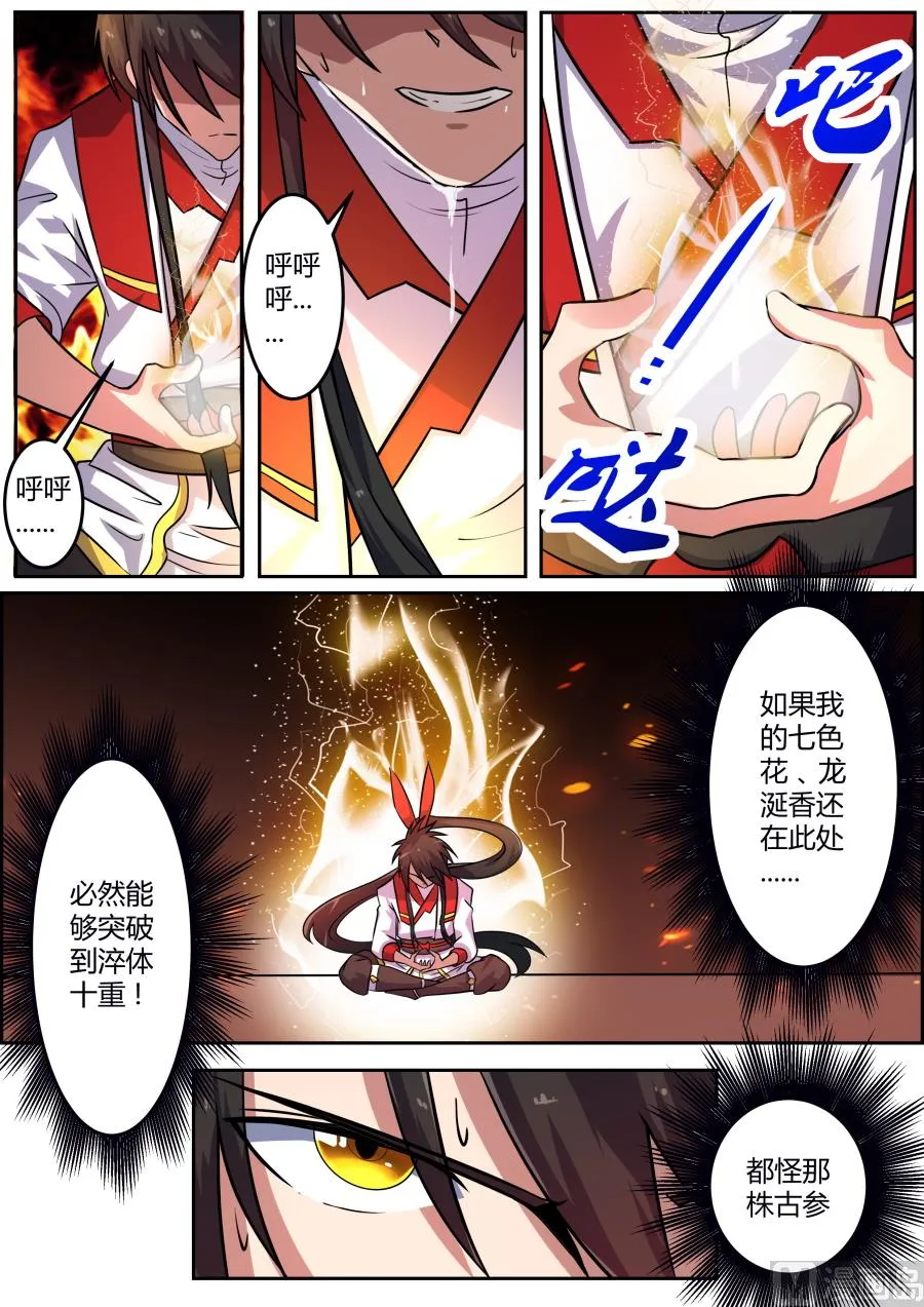历虹现身 第3页