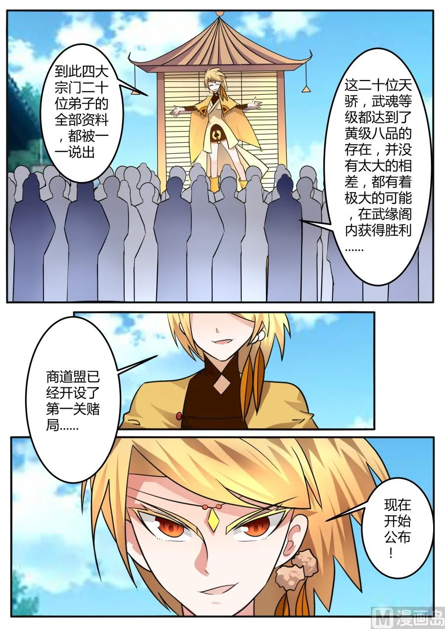 进入武源阁 第12页