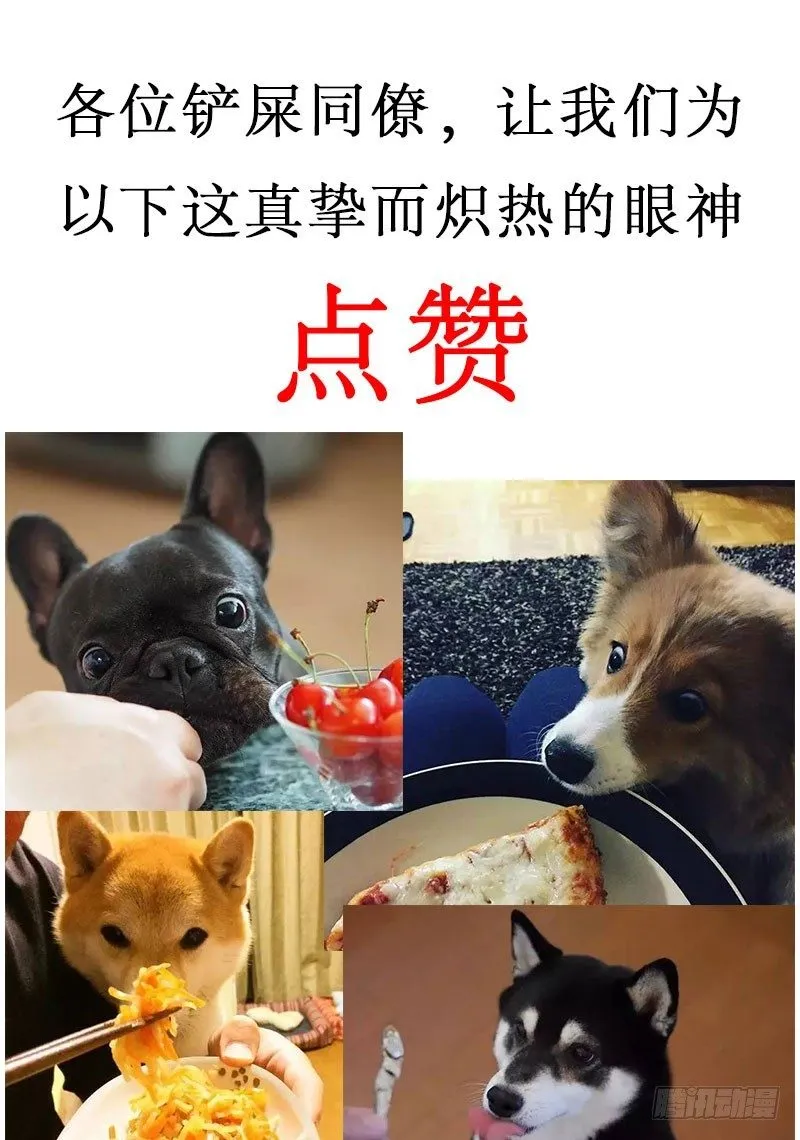 我就静静地看着你 第21页