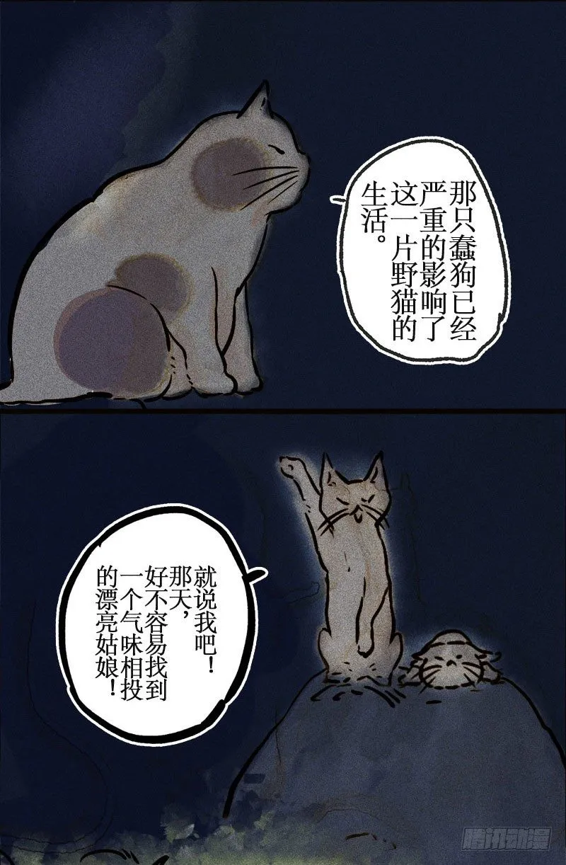 宝宝心里苦 第11页