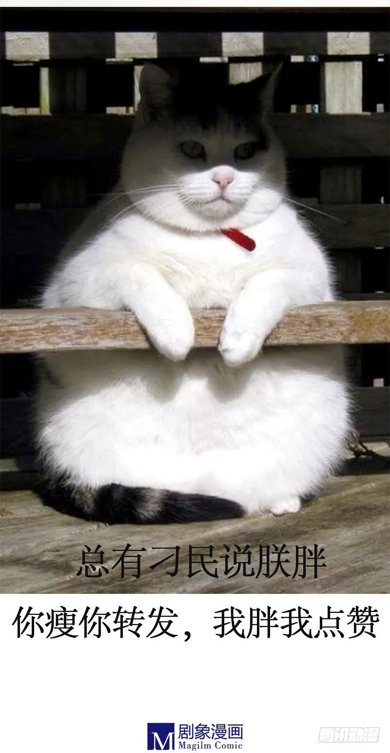 宝宝心里苦 第26页